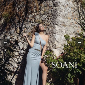 Soani