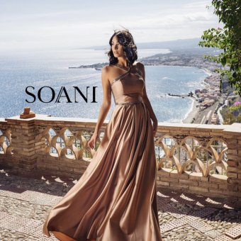 Soani