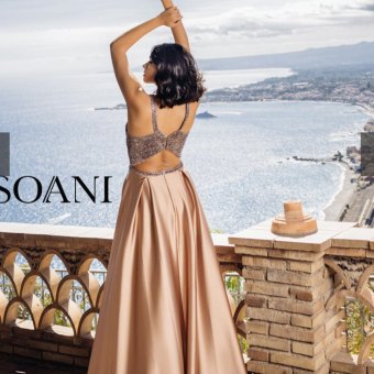 Soani